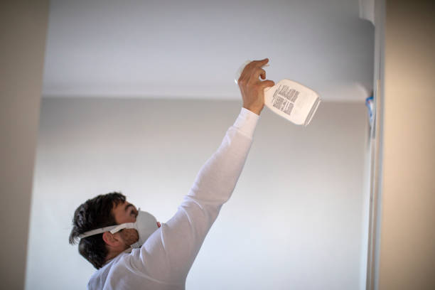 Best Local Mold Removal Service  in Cementon, PA