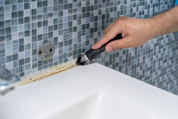Best Toxic Mold Removal  in Cementon, PA